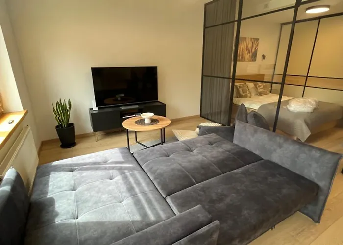 Appartement Location I Free Garage Parking & Easy Checkin I Cohost